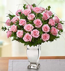 Premium Long Stem Pink <br> Roses in Silver Vase Davis Floral Clayton Indiana from Davis Floral